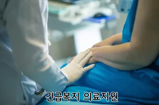 긴급복지 의료지원