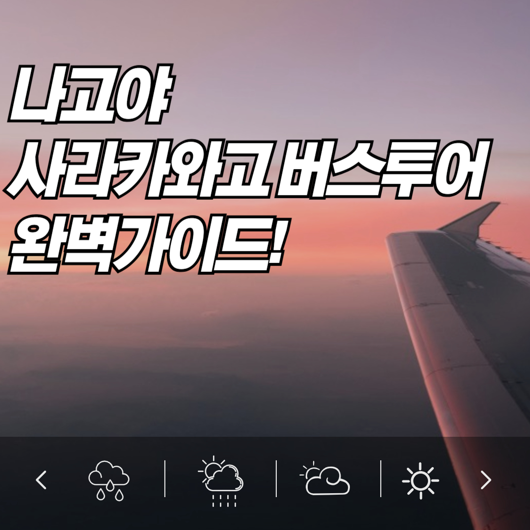 시라카와고 버스투어 완벽 가이드