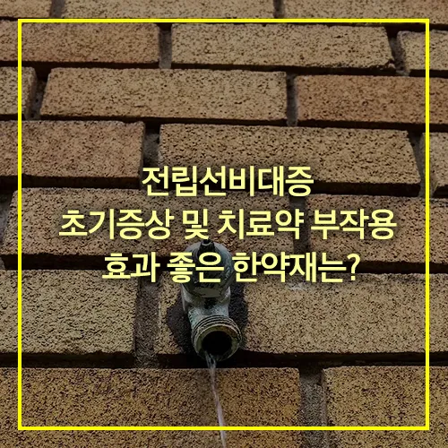 전립선 비대증 초기증상