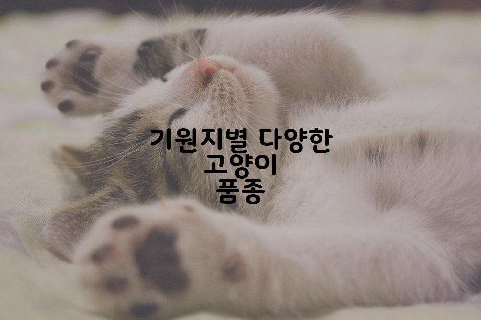 기원지별 다양한 고양이 품종