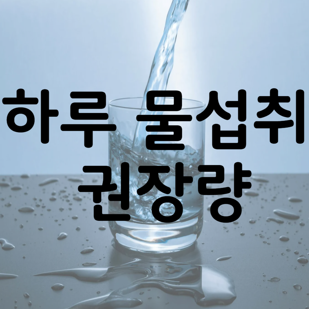하루 물섭취 권장량