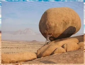 알레르기 배려 저자극실내식물 추천 흙먼지줄이기 수경재배 활용_9