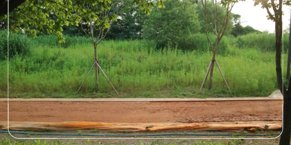 맨발 걷기 효과 _ 접지 효과(Grounding)12