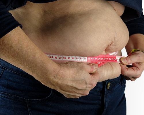 내장지방 빼는 법 1