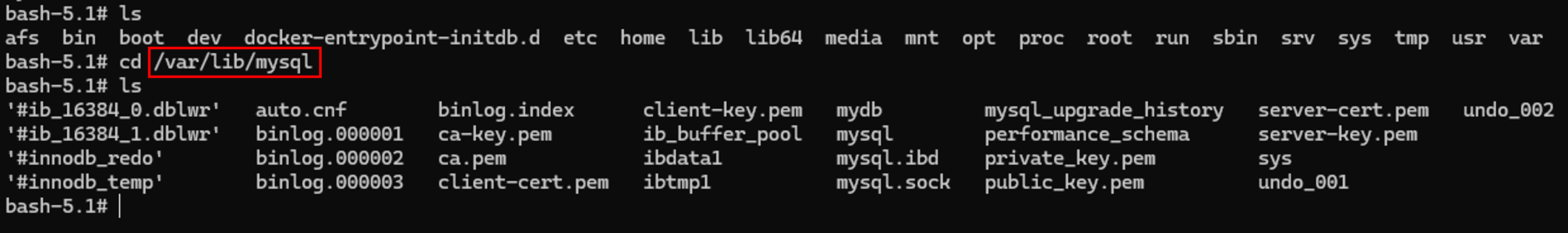 컨테이너 저장 데이터 확인