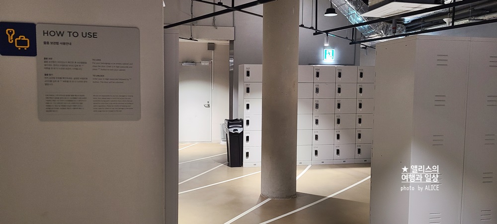 제주 981파크 할인예약 방법 레이싱 카트 실내 액티비티 체험 데이트 코스 추천 가족여행코스