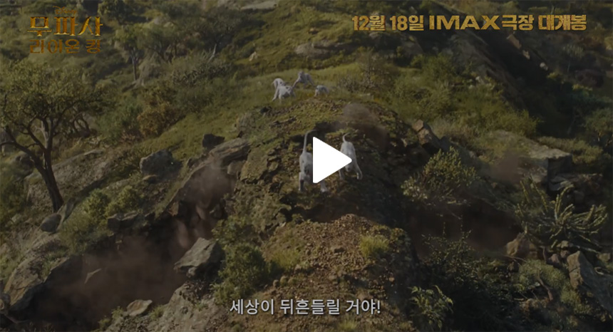 무파사-라이온-킹-후기