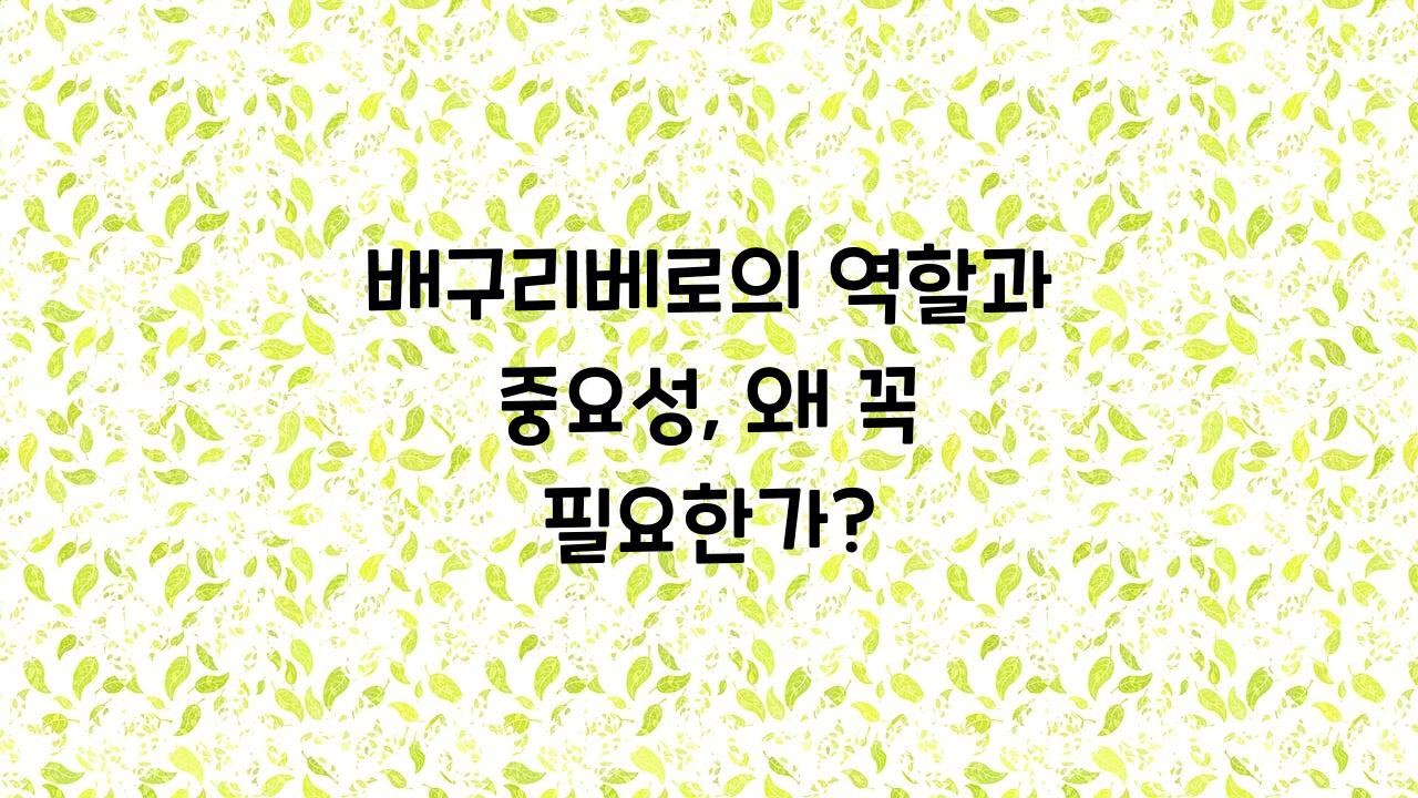 배구리베로