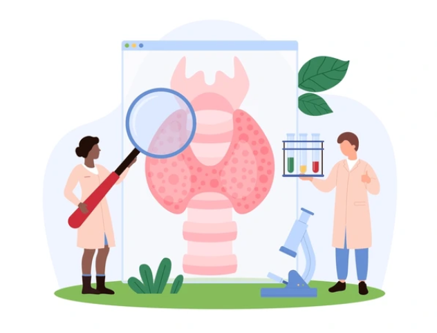 갑상선을 살펴보고 있는 의사 두 명의 모습을 표현한 인포그래픽