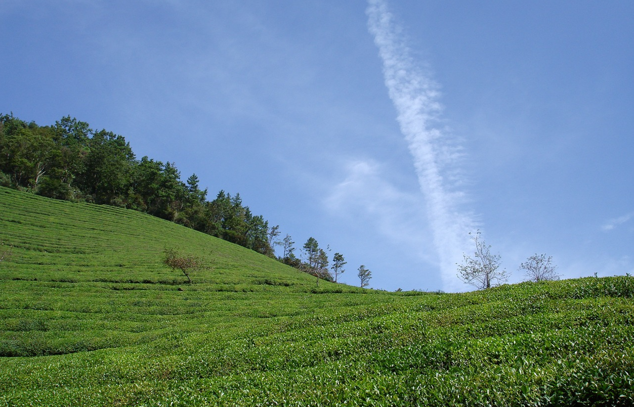 남쪽 봄여행 관련 사진