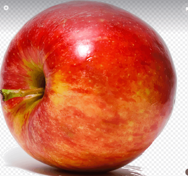 장에 좋은 음식 추천과 먹는 법 총정리