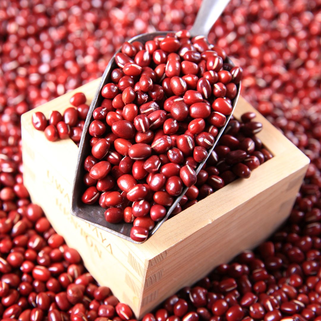 팥의 사진입니다.