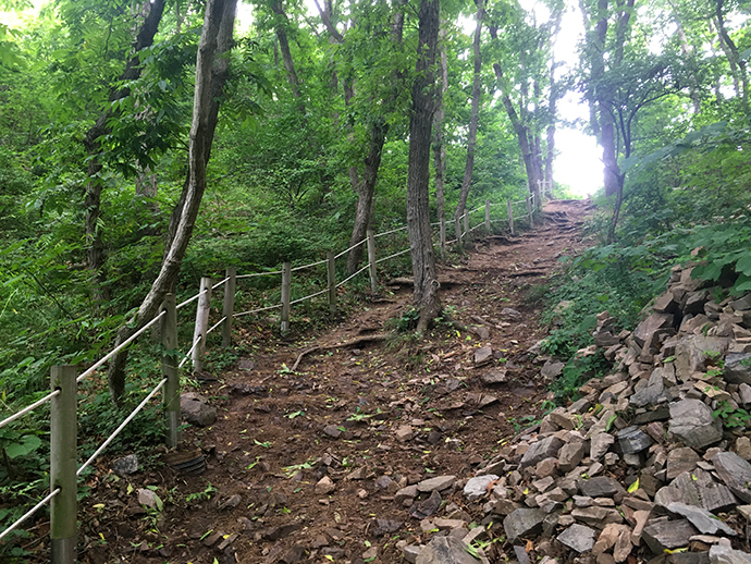 황금산6