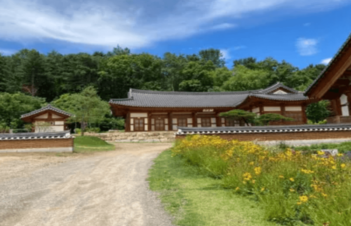 봉선사 템플스테이 가이드: 비밀의 숲 코스