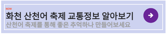 산천어 축제 교통정보