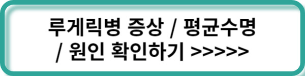 추가정보 링크