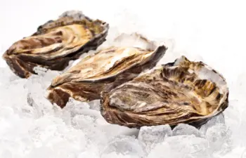 통영굴 가격 및 효능, 영양성분과 주의점