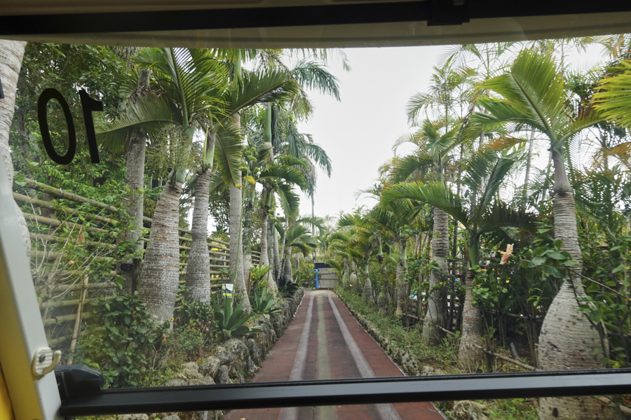 나고 파인애플파크 운전석 시야