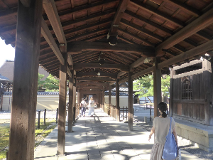 교토 여행 추천 겐닌지