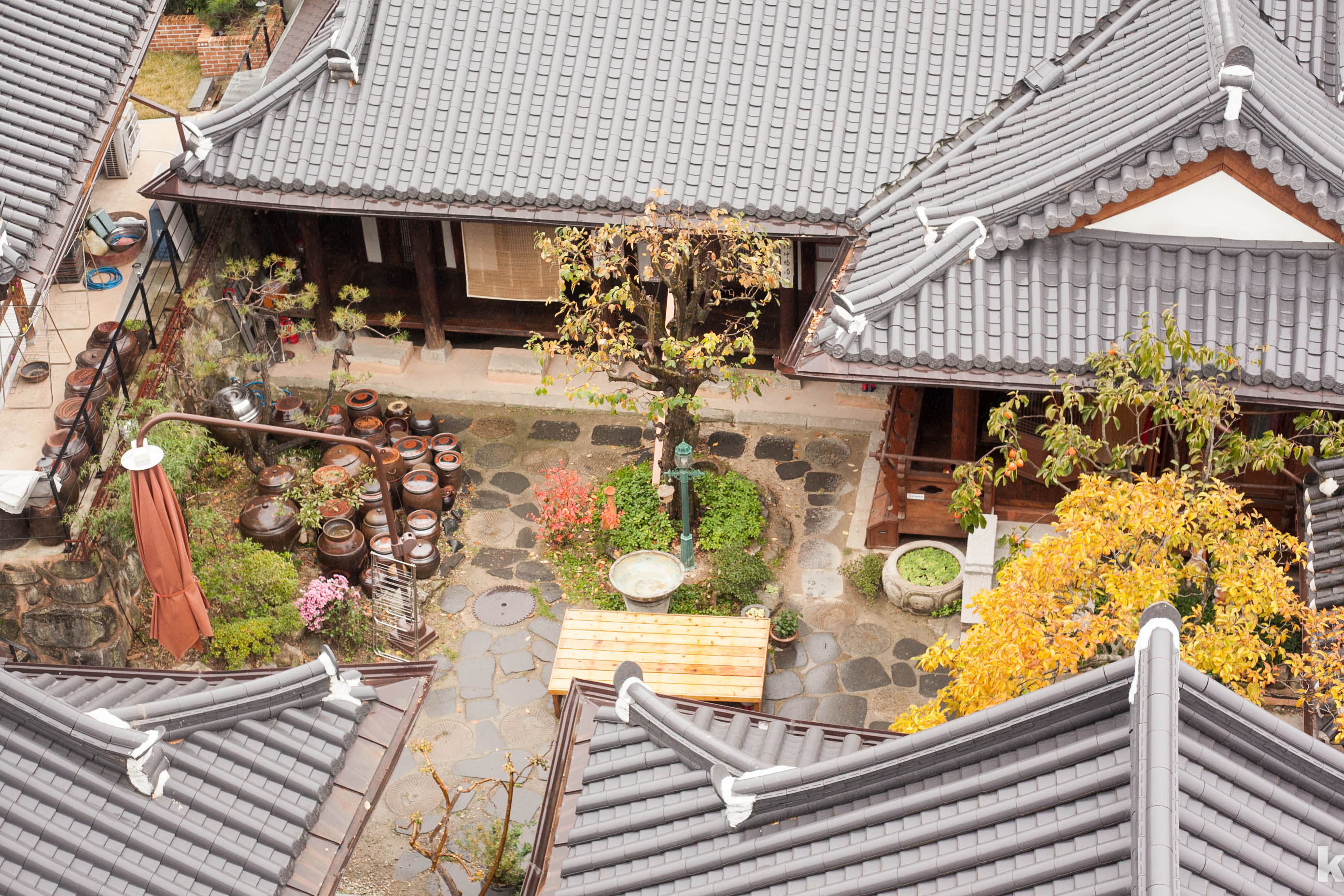 캐논 5D Mark IV, 2025년에도 괜찮을까?