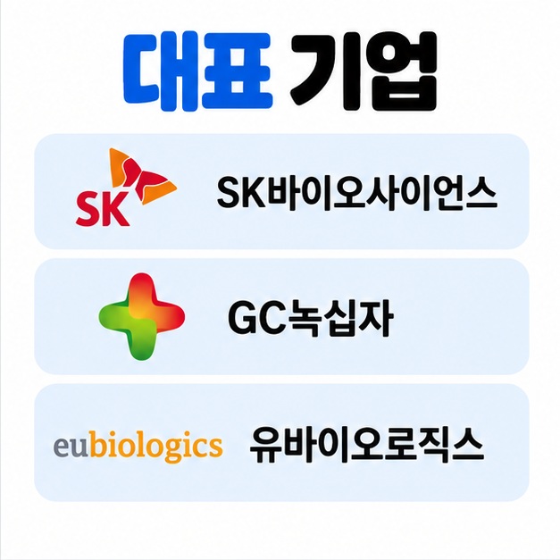SK바이오사이언스 GC녹십자 유바이오로직스의 백신 관련 사업을 비교한 카드뉴스