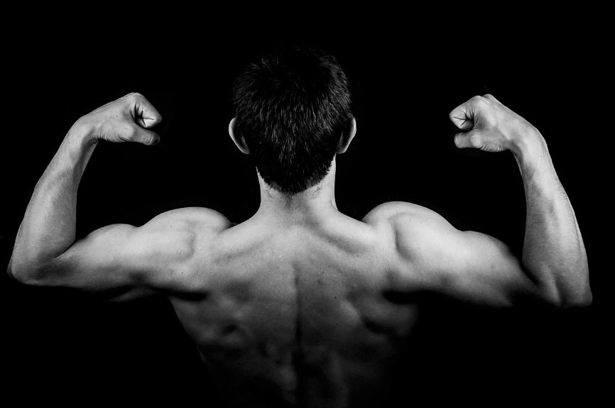 근력 운동의 중요성과 건강에 미치는 영향