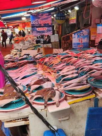 부산 자갈치시장 먹거리 투어 바다의 맛 체험_7