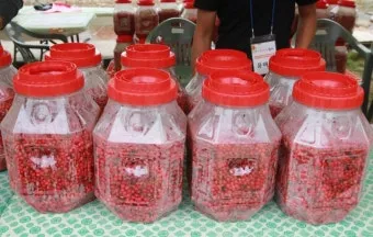 문경 오미자축제 2025 다섯 가지 맛으로 만나는 가을 정리_8