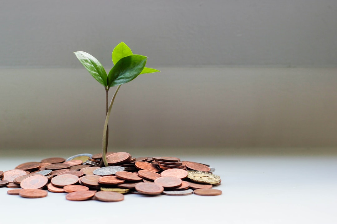 savings