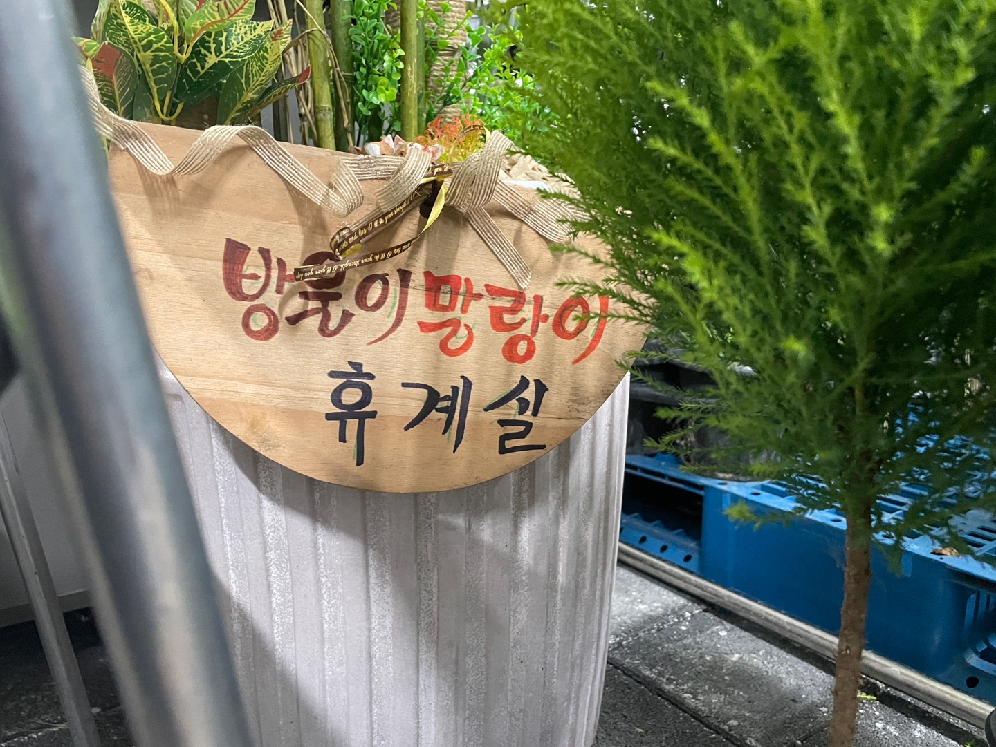 춘천 꽃집 꽃 식물 도소매