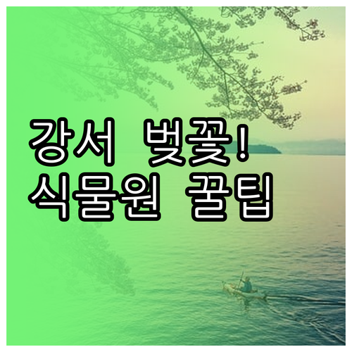 강서구 벚꽃 축제 일정과 서울식물원 ..