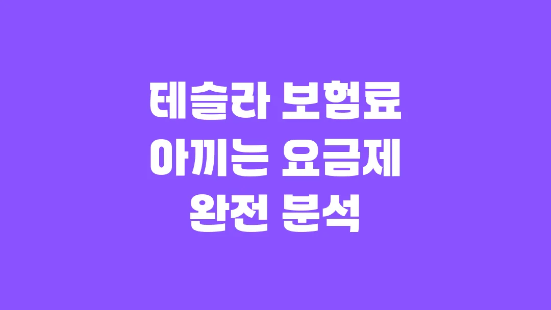테슬라 보험료 아끼는 운전 습관 기반 요금제 완전 분석