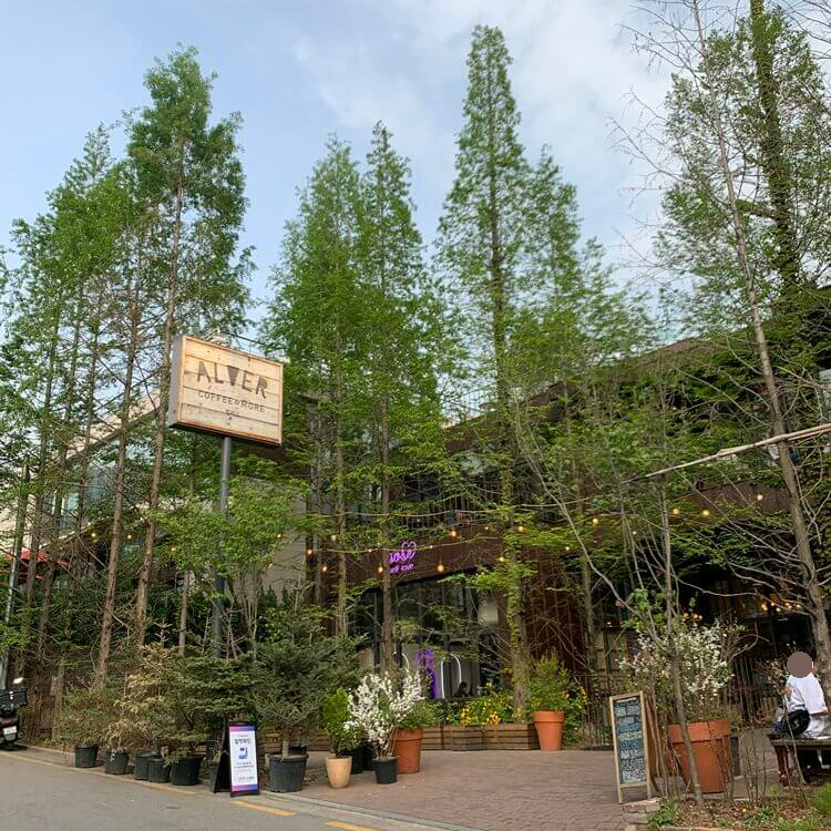 나무에 둘러 쌓여있는 카페 외부모습