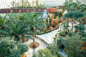 싱가포르 여행 추천 싱가포르 플라워 돔