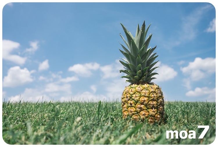 파인애플의 영양 성분