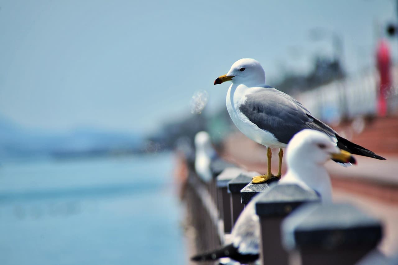 강제동원 관련지-군산 목포 울산에 남은 수탈의 흔적