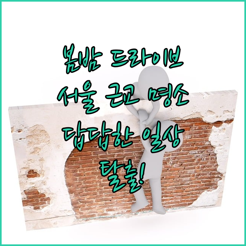 🌙 답답한 일상 탈출! 서울 근교 봄