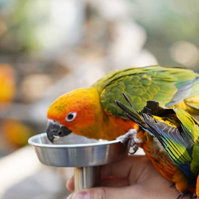 6&amp;#44; 7월 국내 여행지 가평 추천! 