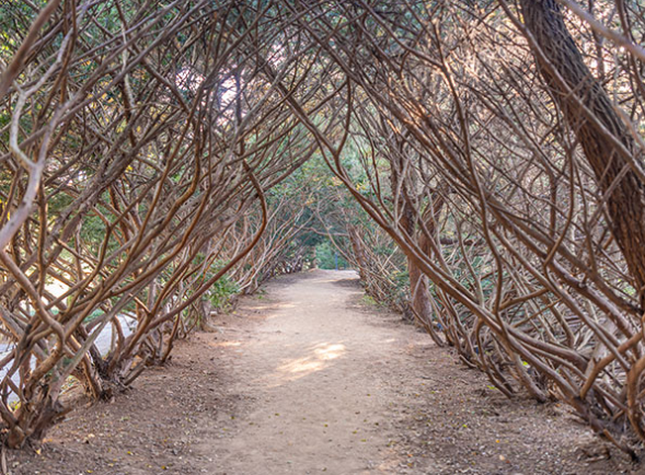 2024년 10월 가을 축제 일정