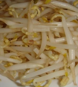 숙주나물의 효능 부작용 요리 고르는법