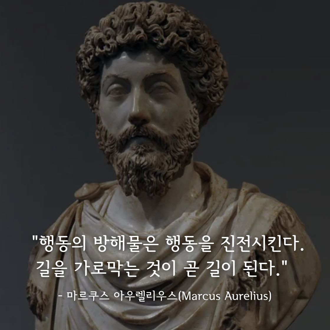 마르쿠스 아우렐리우스(Marcus Aurelius)