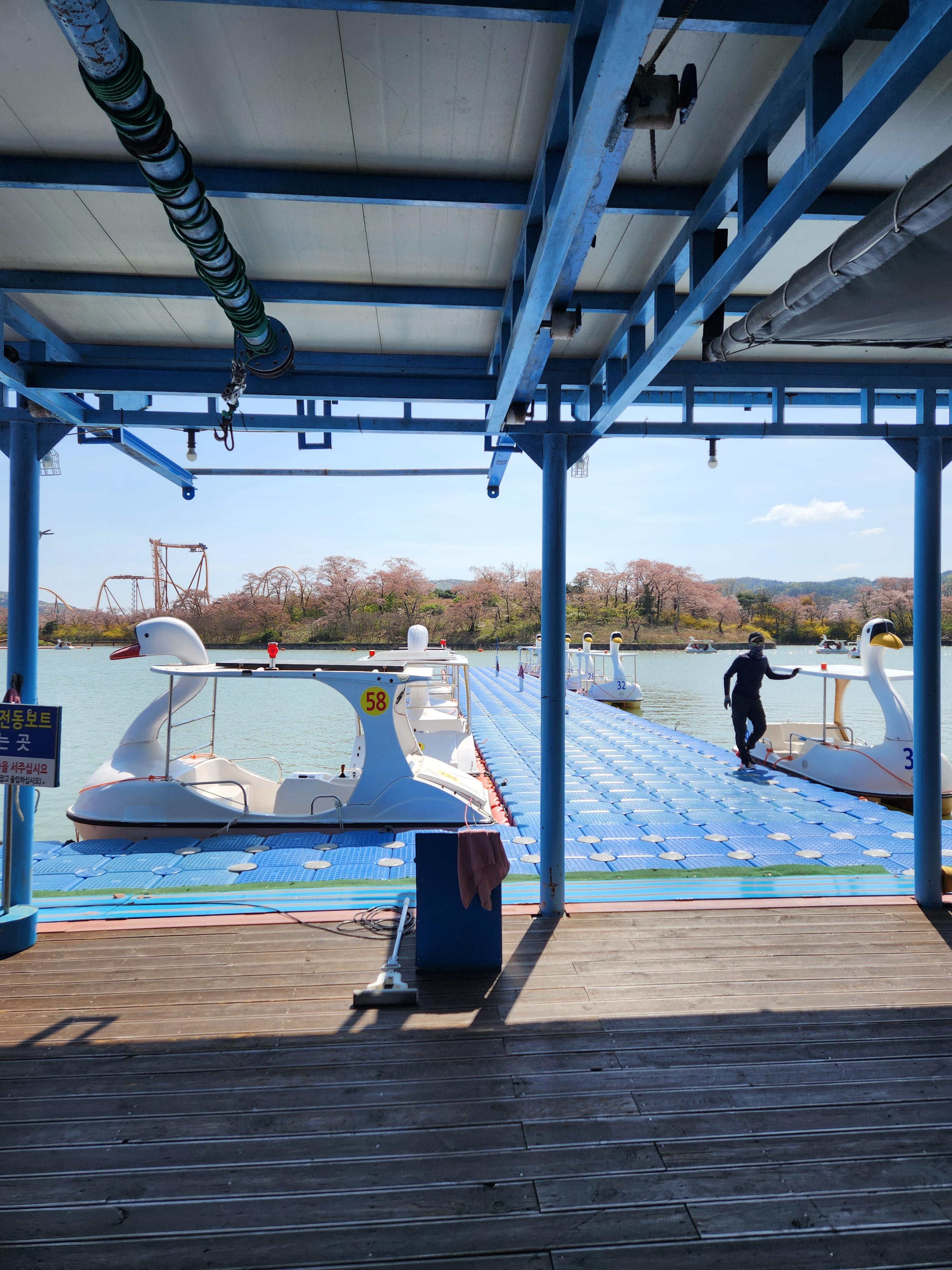 경주 보문단지 오리배