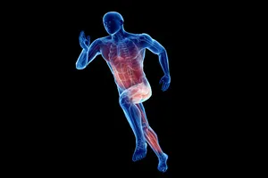 무릎관절-수술비용