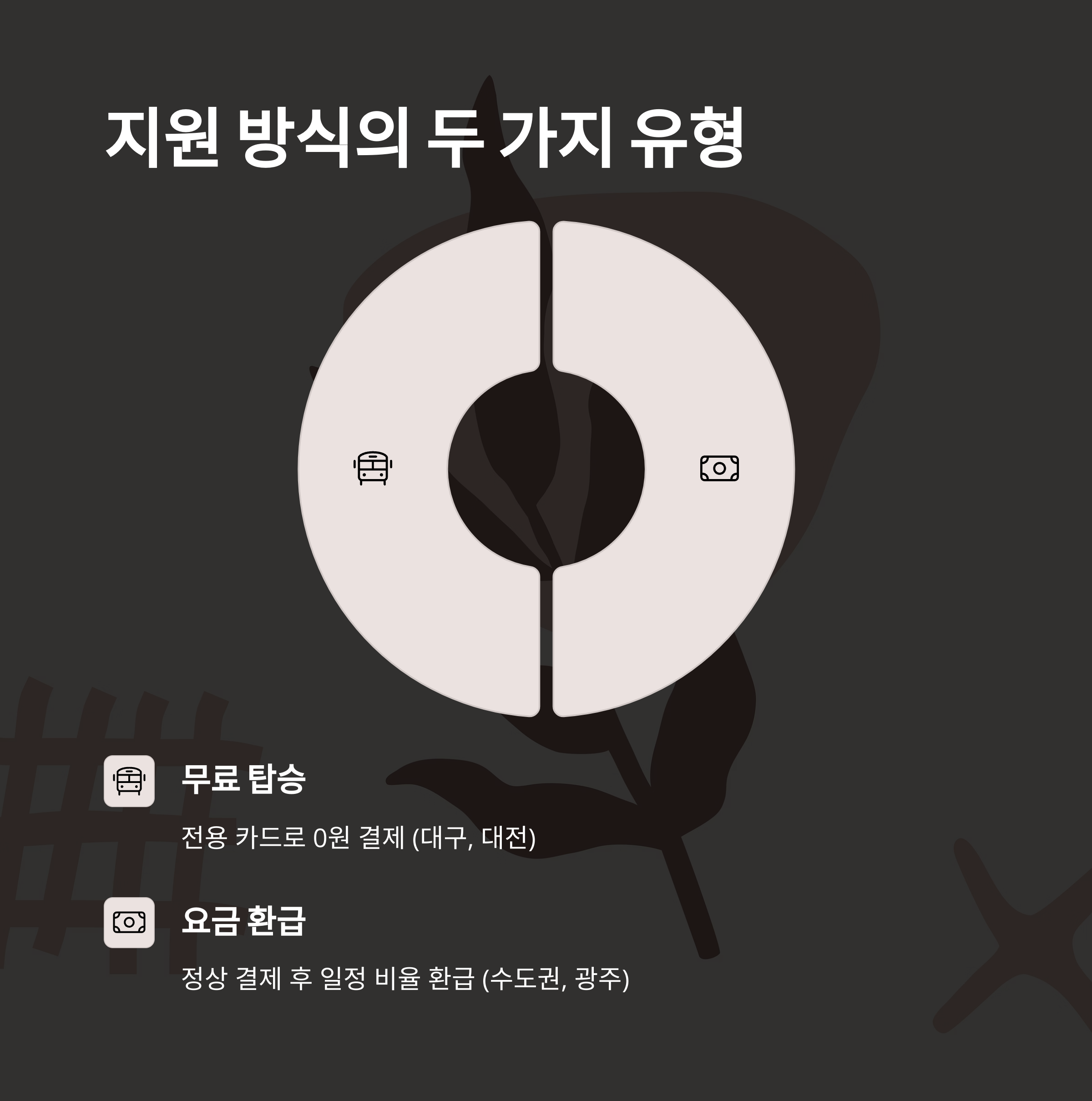 전국 65세 이상 버스비 무료