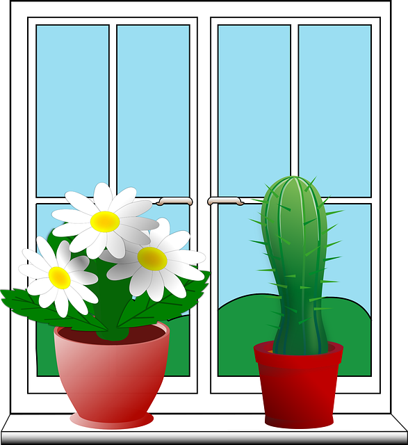 채광과 환기는 건강한 자취 생활의 핵심