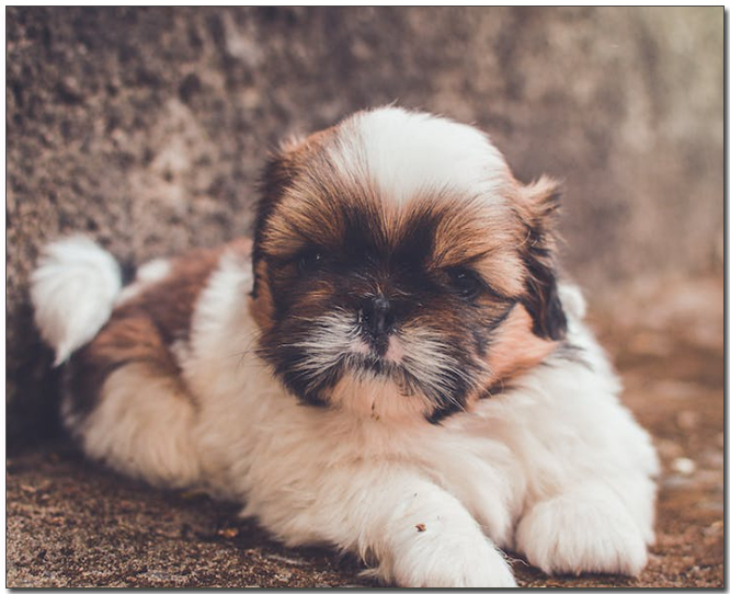 ๋์์๋ ์๊ธฐ ์์ธ