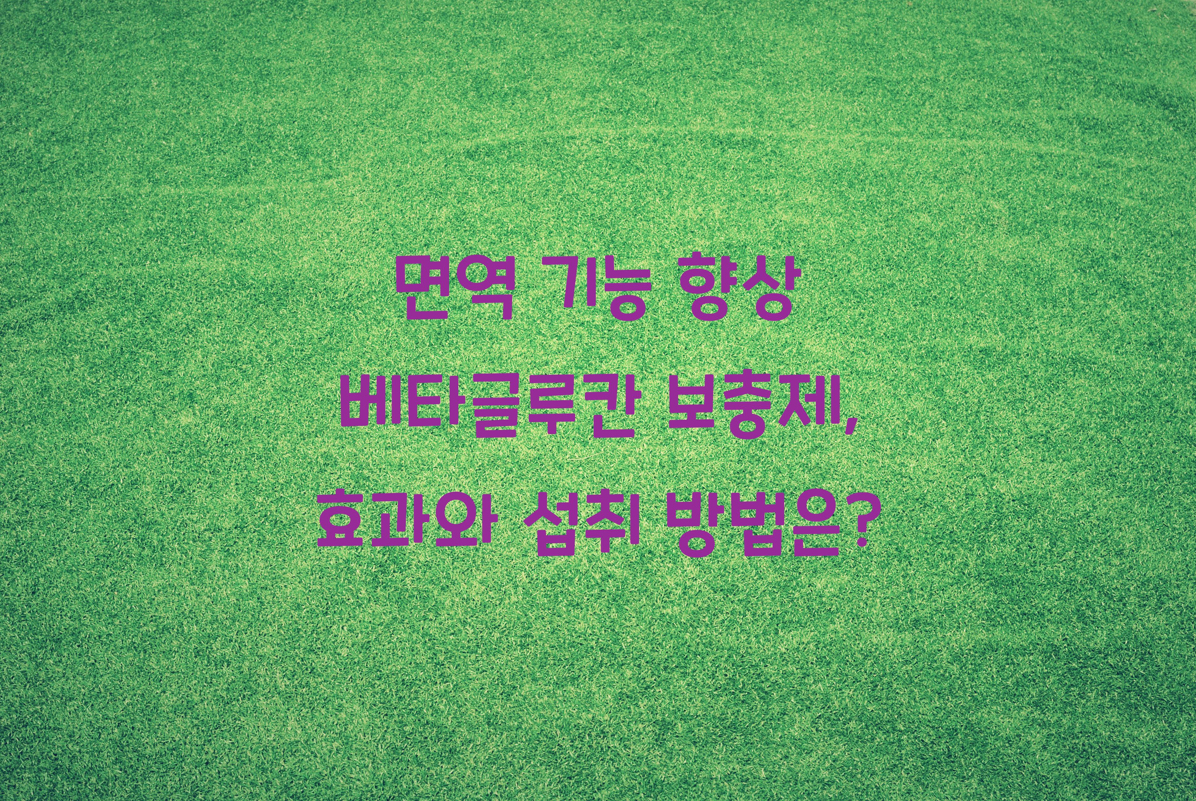 면역 기능 향상 베타글루칸 보충제