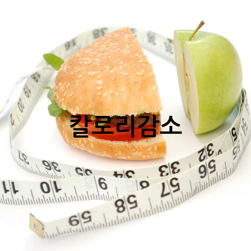 설탕 대신 대체당