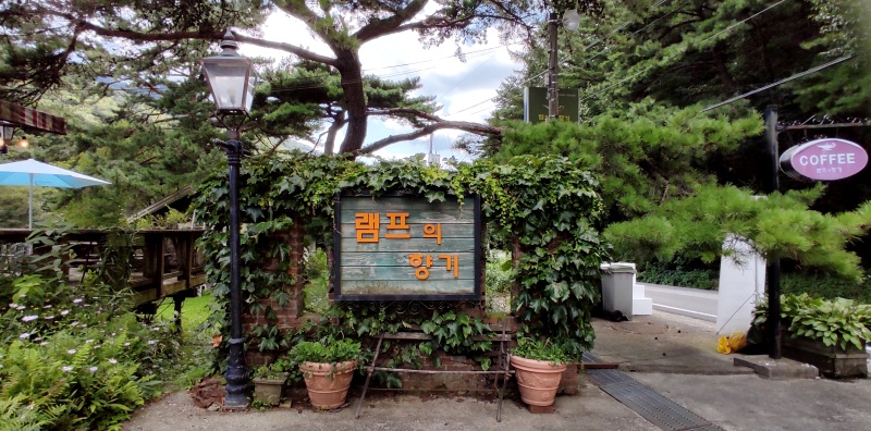 램프의 향기 간판 담쟁이 덩쿨이 무성히 자란 모습