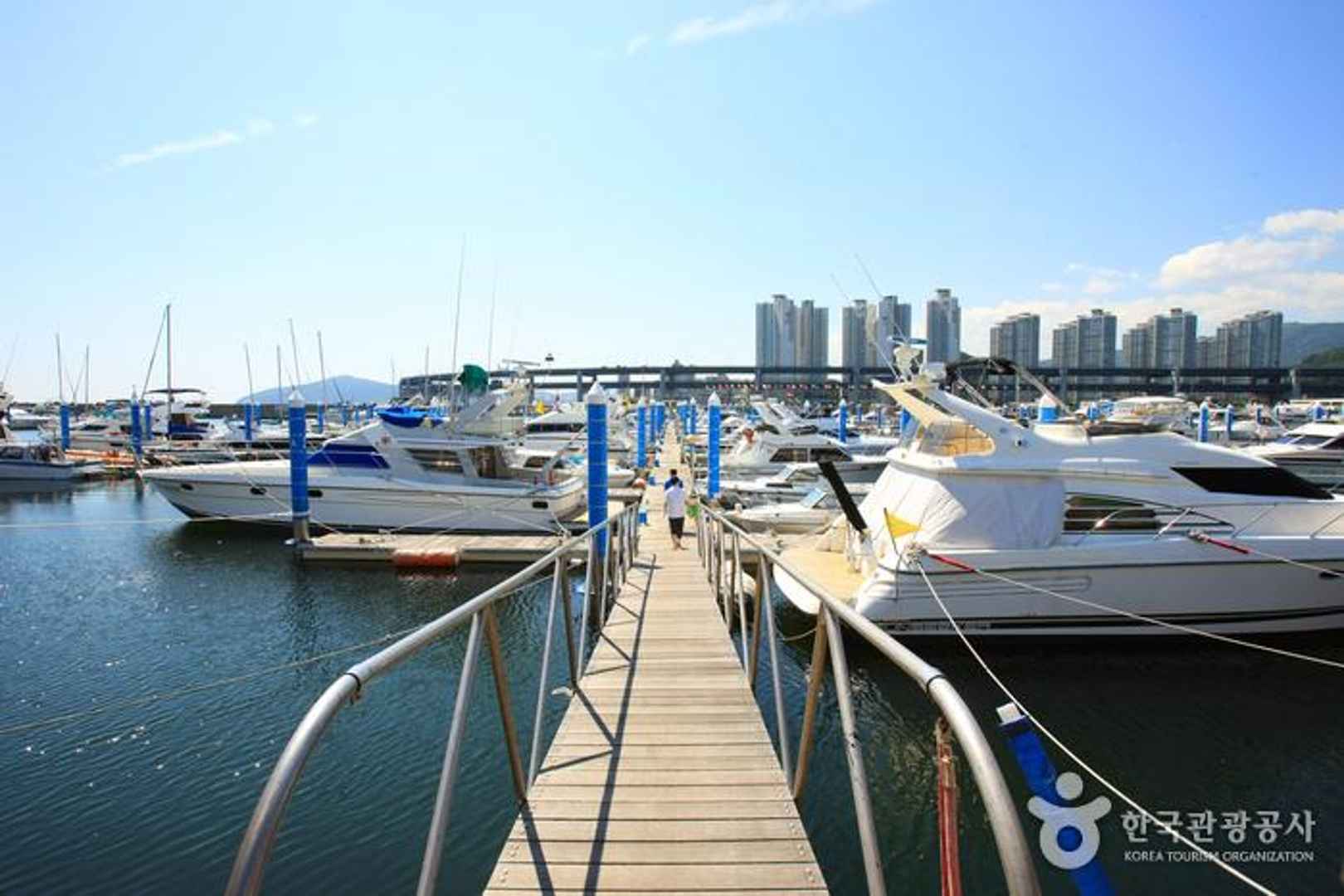 수영만 요트경기장